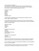 ¿De qué consta una computadora?