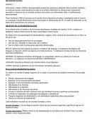 NEUROPSICOLOGIA. OBJETIVO DE LA NEUROPSICOLOGIA