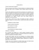 CARGLASSTON ¿Cuál es nuestra idea de negocios?