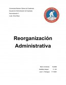 Reorganizacion Administrativa. Concepto de Organización