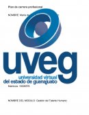 Plan de carrera Profesional