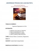 Organismos Reguladores en el Perú