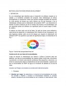 METODOLOGIA FEATURE DRIVEN DEVELOPMENT