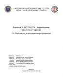 Biodiversidad de gimnospermas y angiospermas