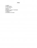 Software Tecnology S.A