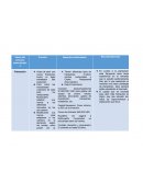 Pasos del proceso administrativo