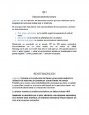 IDH Índice de desarrollo humano