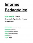 Informe pedagógico 3er año del polimodal