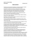 Embriología. Sistema respiratorio