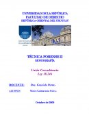 UNIÓN CONCUBINARIA . Unión Concubinaria Ley 18.246