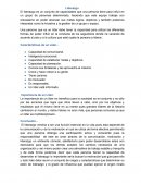 Liderazgo. Características de un Líder