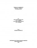 CALCULO I – GRUPO 3 El transporte aéreo