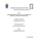 FORRAJE HIDROPÓNICO DE MAÍZ (Zea mays, L) EN INVIERNO CON DIFERENCIAS NUTRICIONALES EN INVERNADERO