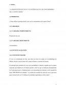 La producción de coco y su incidencia en los consumidores del cantón Chone