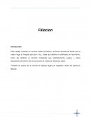 Filiacion - Medicina Legal Bolivia