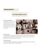 VOCABULARIO EN CINE