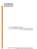 PROYECTO TROMAT ESTADISTICA