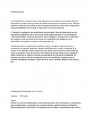 Componentes del MEDUC