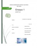 Bioetica según Hottois