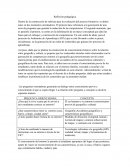 Reflexión pedagógica