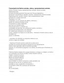 Transcripción de Hechos sociales, cultura, representaciones sociales