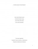 Programa de Administración de Empresa Cristian boutique II