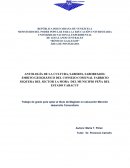 ANTOLOGÍA DE LA CULTURA, SABERES, SABORES, DEL ÁMBITO GEOGRÁFICO DEL CONSEJO COMUNAL FABRICIO SEQUERA DEL SECTOR LA MORA DEL MUNICIPIO PEÑA DEL ESTADO YARACUY