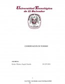 Museo Universitario de Antropología (MUA)