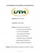 Trabajo: Informe final sobre un producto en estudio. El Azúcar