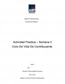 Ciclo de vida del contribuyente