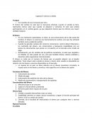 Economia. Capitulo 9: Dinero y Crédito