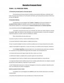 EL PROCESO PENAL