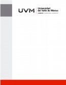 Estrategia de adaptación de los productos