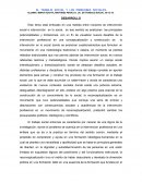 POLITICAS SOCIALES. El trabajo social