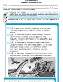 Guía lenguaje 3° año