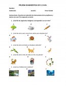 PRUEBA DIAGNOSTICA DE C.C.N.N.