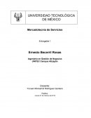 Ingeniería en Gestión de Negocios