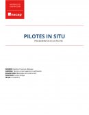 PROCEDIMIENTOS DE LOS PILOTES