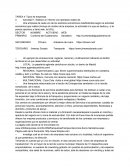 TAREA 4: Tipos de empresas