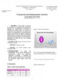 Evaluación del Medicamento Ansimer
