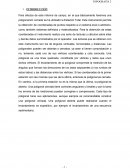 Calculos de topografia 2