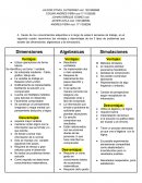 Trabajo colaborativo pensamiento algoritmico