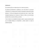 Ensayo violencia de genero