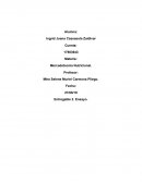 Ensayo Producto, Plaza, Precio, Promocion. Mercadotecnia Nutricional