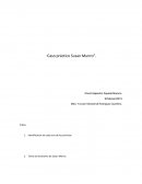 Análisis del comportamiento del consumidor: El caso de Susan Munro