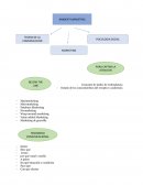 Comunicación y publicidad