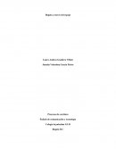 Bogotá a través del espejo