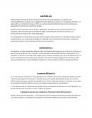 Estudio teoria desarrollo de las empresas