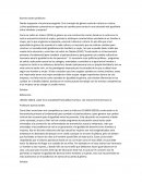 Cómo podríamos convertirnos en agentes de cambio para construir una sociedad más igualitaria entre hombres y mujeres?