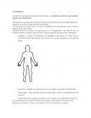 Actividades del sistema digestivo
